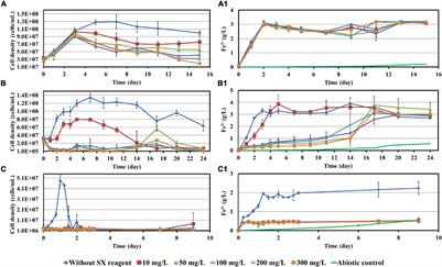 Bioleaching of Chalcopyrite Waste Rock in the Presence of the Copper Solvent Extractant LIX984N